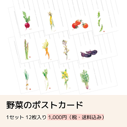 野菜のポストカード