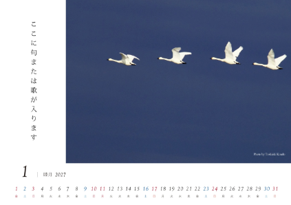 image_design01