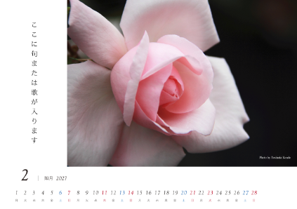 image_design02