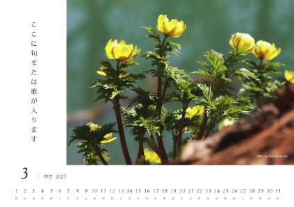 image_design03