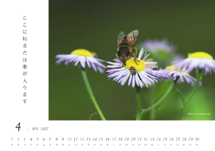 image_design04