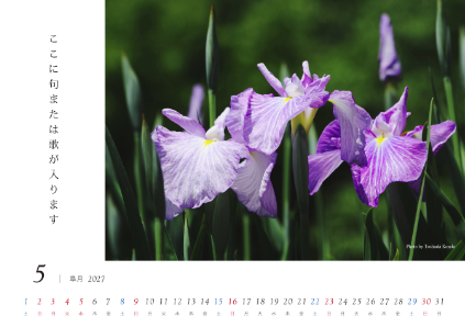 image_design05