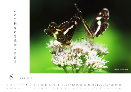 わたし暦 写真ワイド