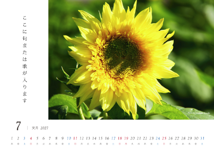 image_design07