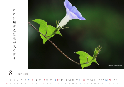 image_design08