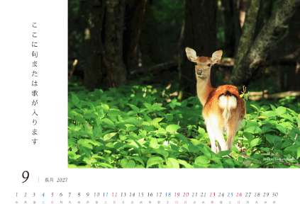 image_design09