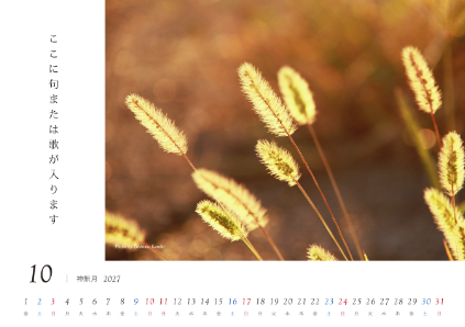 image_design10
