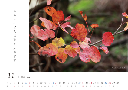 image_design11