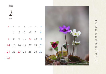 image_design17