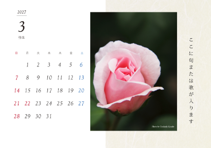 image_design18