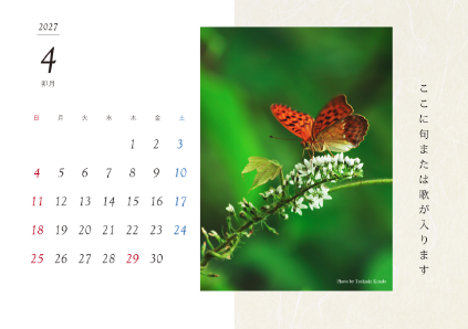 image_design19
