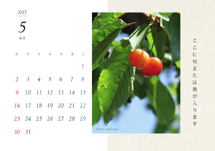 image_design20