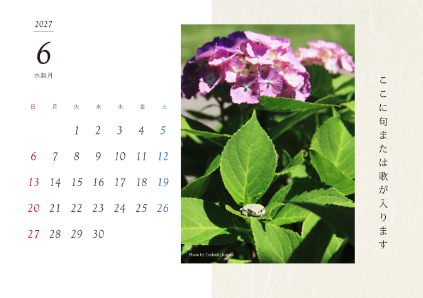 image_design21