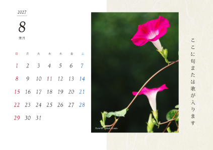 image_design23