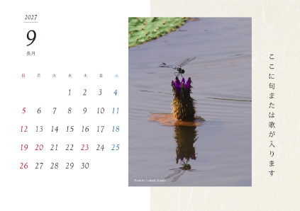 image_design24