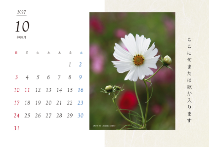image_design25