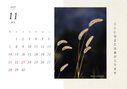 image_design26