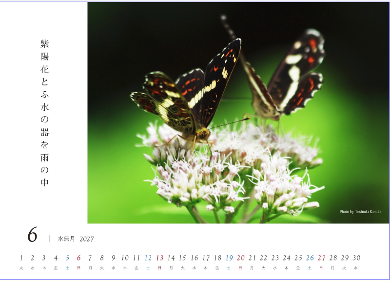 わたし暦 写真ワイド